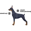 Dashi Neono žalios spalvos diržai – reguliuojami Guard Dog diržai, lengvi ir saugiai priglundantys, mažas dydis