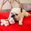 Dashi Pudgy pliušinis žaislas – 13cm minkštas cypiantis Betty Boop šunelio personažas, patvarus dizainas