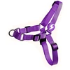 Dashi Solid Front Harness Violetinė – „No-Pull“ Norvegiškas šunų diržas, didelis, patvaraus dizaino