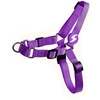 Dashi Solid Front Harness Violetinė – „No-Pull“ Norvegiškas šunų diržas, didelis, patvaraus dizaino