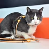 „Dashi Stripes“oranžinės ir juodos spalvos katės pakinktų ir pavadėlio komplektas – reguliuojamas, patvarus dizainas
