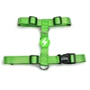 Dashi tvirtas diržas „Solid Back Harness“ žalias – reguliuojamas „Guard Dog“ diržas, vidutinio dydžio, patvarus dizainas