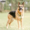 Dashi tvirtas diržas „Solid Back Harness“ žalias – reguliuojamas „Guard Dog“ diržas, vidutinio dydžio, patvarus dizainas