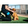 Dexas Pooch Pouch Silikoninis skanėstų laikiklis – Inovatyvus patogus dizainas, mėlynos spalvos