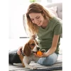 Dr. Lucy HOME No. 3 Šampūnas – Švelni Formulė Trumpaplaukiams Gyvūnams, 250ml