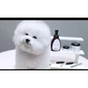 Eye Envy Tear Stain Remover Starter Kit For Dogs – pilna kosmetinė priemonė, švelni formulė nuo patamsėjimų