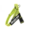 Julius-K9 Color&Gray Neon diržų pakabukas – reguliuojamas mini dydis, itin matomas dizainas