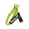 Julius-K9 Color&amp;Gray Neon diržų pakabukas – reguliuojamas mini dydis, itin matomas dizainas