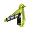 Julius-K9 Color&Gray Neon diržų pakabukas – reguliuojamas mini dydis, itin matomas dizainas
