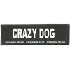 Julius K9 Crazy Dog Patch rinkinys – Velcro tvirtinimas, mažas dydis, 2 vnt.