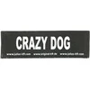 Julius K9 Crazy Dog Patch rinkinys – Velcro tvirtinimas, mažas dydis, 2 vnt.