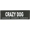 Julius K9 Crazy Dog Patch rinkinys – Velcro tvirtinimas, mažas dydis, 2 vnt.