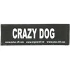 Julius K9 Crazy Dog Patch rinkinys – Velcro tvirtinimas, mažas dydis, 2 vnt.