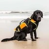 Julius-K9 Daugiafunkcinė Oranžinė Liemenė – Plūdrumą Didinanti, Palaikanti Maudymosi ir Reabilitacijos Pagalbinė Priemonė, Dydis L