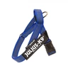 Julius-K9 IDC Color&Gray Dirželis Mėlynas – Mini dydžio, reguliuojamas, patvarus dizainas