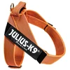 Julius-K9 IDC Color&Gray Dirželis Oranžinis – Reguliuojama lengva miniatiūrinė šunų pavadėlio dirželis