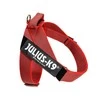 Julius-K9 IDC Color&Gray Dirželis Rauudonas – Reguliuojamo Mini-Mini Dydžio, Patvaraus Dizaino