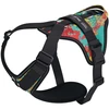 Julius-K9 IDC Longwalk Light Harness Crazy – Lengvi svoringis žygio pavadėlis su GPS lokatoriaus kišene, Dydis L