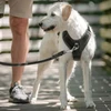 Julius-K9 IDC Longwalk Light Harness Night Camo – Lengvas trekingo pakabinamas diržas su GPS kišene, Dydis M