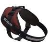 Julius-K9 IDC Powerharness Bordo-Ruda – Premium reguliuojama šunų pavadėlė, bordo, 3 dydis