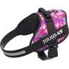 Julius-K9 IDC Powerharness Dogz – Atspindintis šunų pavadėlis su spalvingu raštu, 0 dydis