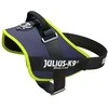 Julius-K9 IDC Powerharness Jeans Neon – Aukščiausios kokybės džinsinis diržas, neoniniai akcentai, 1 dydis, kūdikiui - Julius-K9