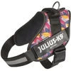Julius-K9 IDC Powerharness Leaf2 – Auksinio rašto pakinktai, ilgaamžiškumas ir patogus dizainas