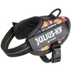Julius-K9 IDC Powerharness Leaf2 – Auksinio rašto pakinktai, ilgaamžiškumas ir patogus dizainas