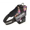 Julius-K9 IDC Powerharness Leaf2 – Auksinio rašto pakinktai, ilgaamžiškumas ir patogus dizainas