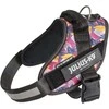 Julius-K9 IDC Powerharness Leaf2 – Auksinio rašto pakinktai, ilgaamžiškumas ir patogus dizainas