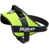 Julius-K9 IDC Powerharness Neonožaliai žalia – Aukščiausios kokybės reguliuojamas diržas, Mini-Mini dydis, Didelio matomumo dizainas