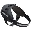 Julius-K9 IDC Powerharness pilkas – Premium reguliuojama petnešėlė, Mini-Mini dydis, ilgaamžė konstrukcija