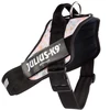 Julius-K9 IDC Powerharness Pretty – Atspindintis gėlių raštų pakinktas su saugiu prigludimu