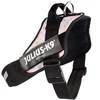 Julius-K9 IDC Powerharness Pretty – Atspindintis gėlių raštų pakinktas su saugiu prigludimu