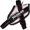Julius-K9 IDC Powerharness Pretty – Atspindintis gėlių raštų pakinktas su saugiu prigludimu