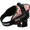 „Julius-K9” IDC Powerharness Rožinė Flowers – Aukščiausios kokybės diržas su gėlių raštu, 2 dydis