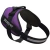 Julius-K9 IDC Powerharness tamsiai violetinė – Premium reguliuojamas šunų pakinktas, 1 dydžio (Baby 1)