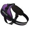 Julius-K9 IDC Powerharness tamsiai violetinė – Premium reguliuojamas šunų pakinktas, 1 dydžio (Baby 1)