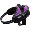Julius-K9 IDC Powerharness tamsiai violetinė – Premium reguliuojamas šunų pakinktas, 1 dydžio (Baby 1)