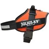 Julius-K9 IDC Powerharness UV Oranžinė – Premium reguliuojama pavadėlio jungtis, 4 dydis, itin ryškus dizainas