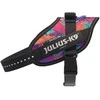 Julius-K9 IDC Powerharness Vibe – Atspindinti šunų pavadėlio diržas, Palm Tree raštas, Mini dydis