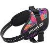 Julius-K9 IDC Powerharness Vibe – Atspindinti šunų pavadėlio diržas, Palm Tree raštas, Mini dydis