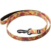 Julius-K9 MoreColor Crazy Pattern Pavadėlis – Patvarus 120cm juostinis pavadėlis, ryškus dizainas
