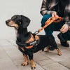 Julius-K9 MoreColor Pixeljuice Pavada 120cm – Neopreno Rankena, Oranžinė Pixel Juosta, Patvarus Dizainas