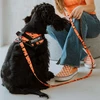Julius-K9 MoreColor Pixeljuice Pavada 120cm – Neopreno Rankena, Oranžinė Pixel Juosta, Patvarus Dizainas