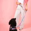 Julius-K9 MoreColor Vibe Tape pavadėlis 120cm – Neopreninė rankena, spalvingas palmės dizainas