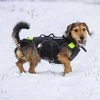 Julius-K9 Neono Daugiafunkcinė Liemenė – Lengvas Plaukimo ir Reabilitacijos Palaikymas, Dydis S
