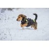 Julius-K9 Neono Daugiafunkcinė Liemenė – Lengvas Plaukimo ir Reabilitacijos Palaikymas, Dydis S