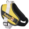 Julius-K9 Paw Patrol Rubble Šuo Diržas – XL Dydis, Reguliuojamas, Patvarus Dizainas