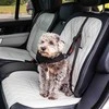KONG kelioninis tvirtinimo diržas – trijų taškų reguliuojamas automobilio saugos diržas su ISOFIX suderinamumu
